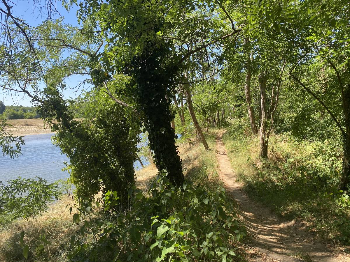 Chemin le long de la rivière